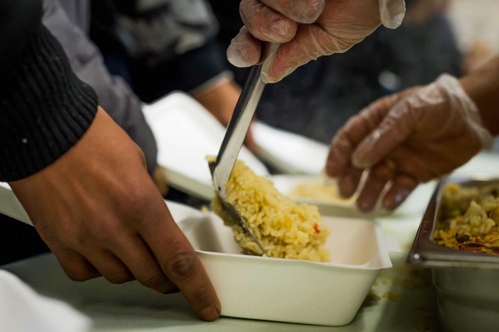 Malnutrição custa mais de 225 milhões de euros ao SNS